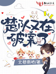 楚队又在破案了小说全本阅读