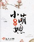 掌家小娘子小说全文免费阅读