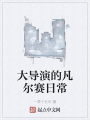 大导演2004小说