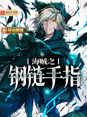海贼之钢铁直男